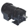 Bison 016-200-8100 Gear Motor 1/15 Hp 15 RPM 115/230V 60 HZ.